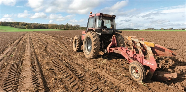 RIORDINO ENTI AGRICOLI, PRIORITARI GLI INTERVENTI PER L’EFFICIENZA DI AGEA